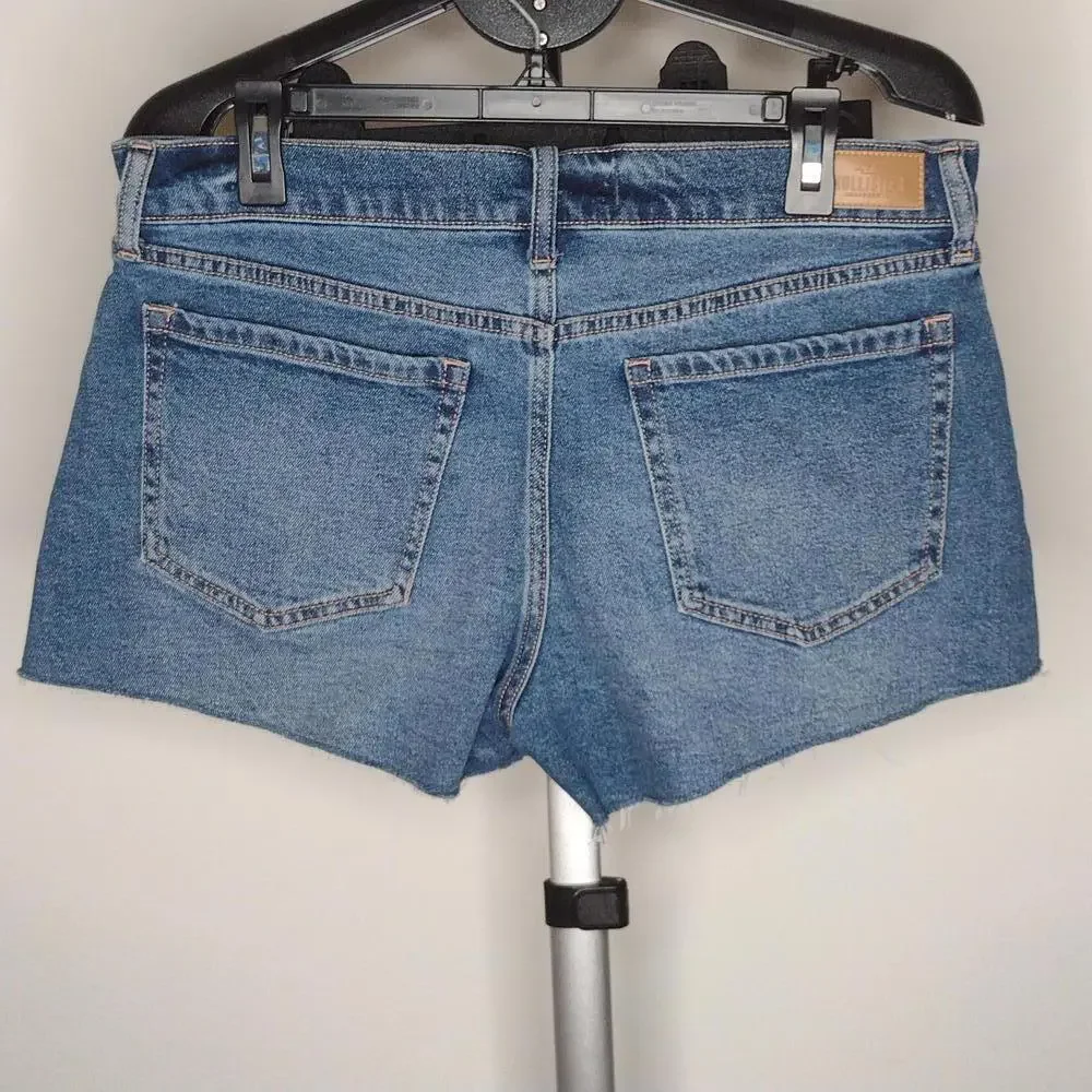 NWOT Hollister Women's Low Rise Vintage Baggy 3